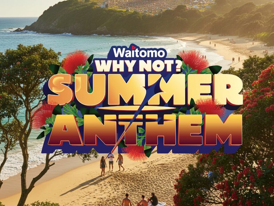 Why Not Anthem T's & C's